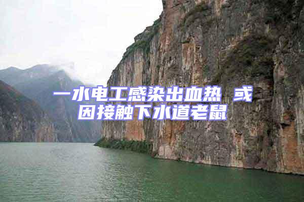 一水電工感染出血熱 或因接觸下水道老鼠