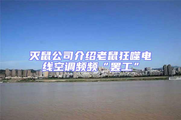 滅鼠公司介紹老鼠狂噬電線空調(diào)頻頻“罷工”