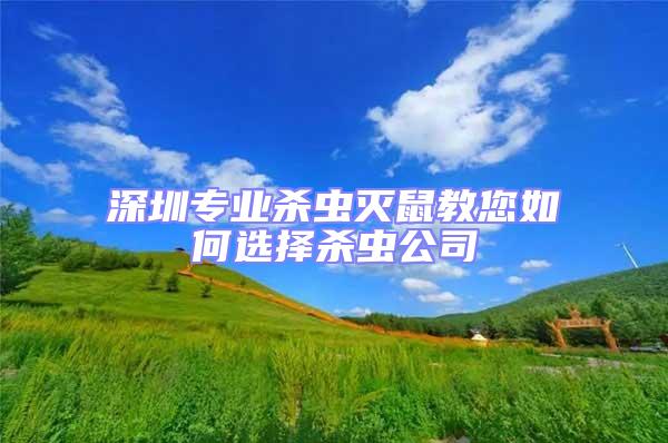 深圳專業(yè)殺蟲滅鼠教您如何選擇殺蟲公司