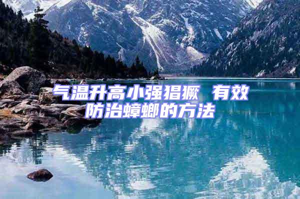 氣溫升高小強(qiáng)猖獗 有效防治蟑螂的方法