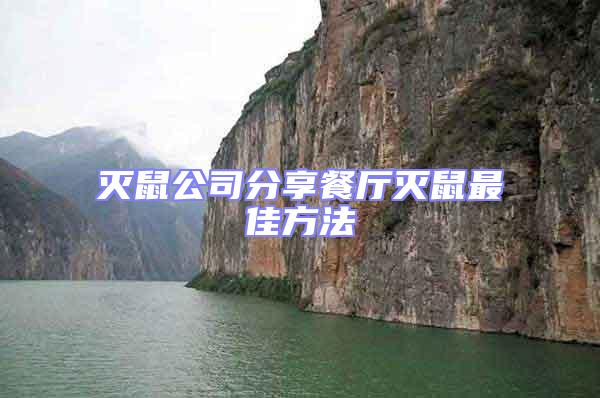 滅鼠公司分享餐廳滅鼠最佳方法