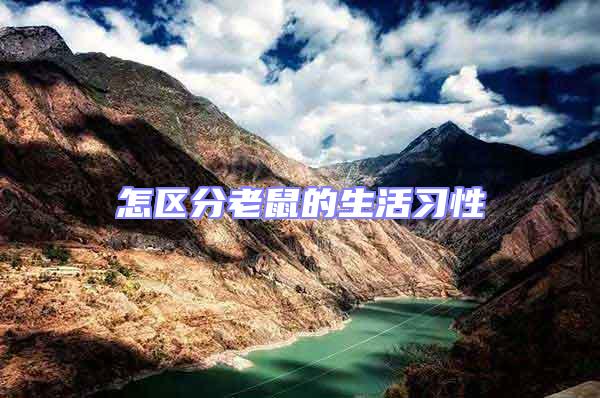 怎區分老鼠的生活習性