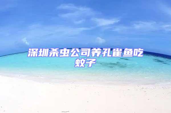 深圳殺蟲公司養孔雀魚吃蚊子