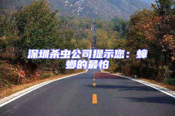 深圳殺蟲公司提示您：蟑螂的最怕