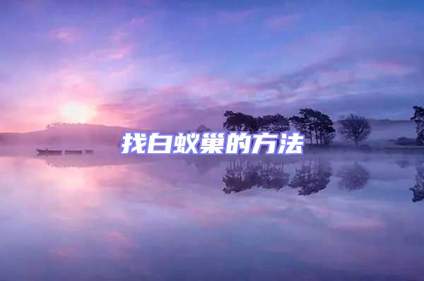 找白蟻巢的方法