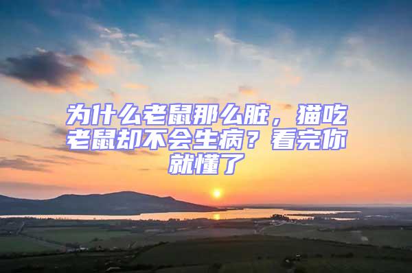 為什么老鼠那么臟，貓吃老鼠卻不會(huì)生病？看完你就懂了
