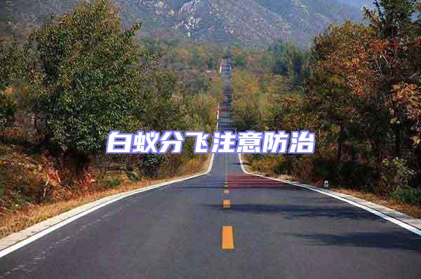白蟻分飛注意防治