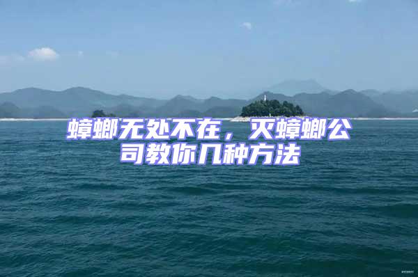 蟑螂無處不在，滅蟑螂公司教你幾種方法