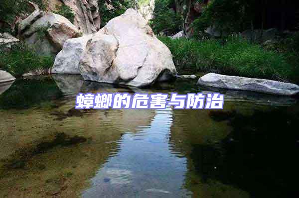 蟑螂的危害與防治