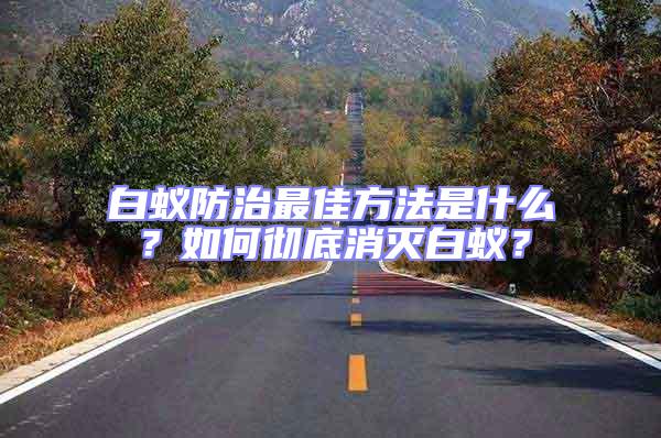 白蟻防治最佳方法是什么？如何徹底消滅白蟻？