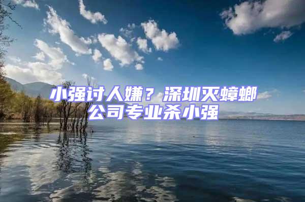小強討人嫌？深圳滅蟑螂公司專業(yè)殺小強