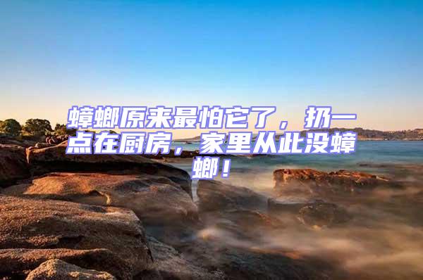 蟑螂原來最怕它了，扔一點在廚房，家里從此沒蟑螂！