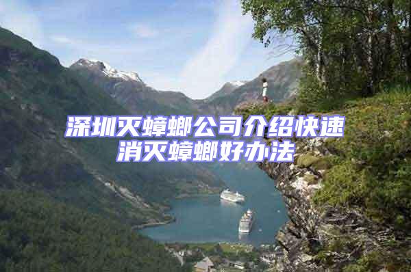 深圳滅蟑螂公司介紹快速消滅蟑螂好辦法