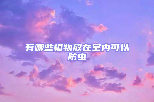 有哪些植物放在室內(nèi)可以防蟲