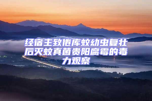 經宿主致倦庫蚊幼蟲復壯后滅蚊真菌貴陽腐霉的毒力觀察