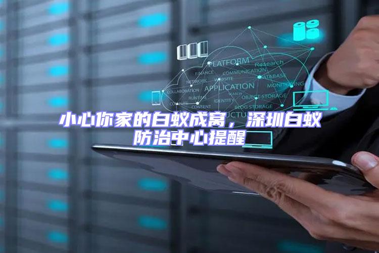 小心你家的白蟻成窩，深圳白蟻防治中心提醒