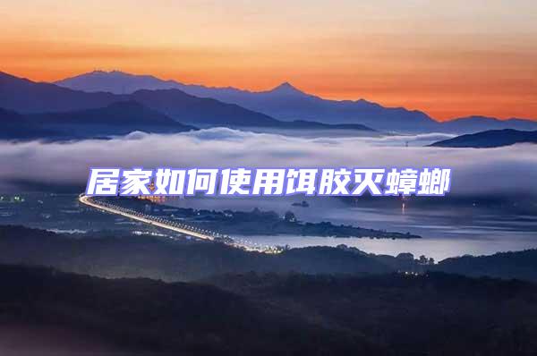 居家如何使用餌膠滅蟑螂