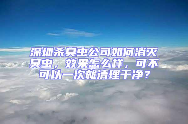 深圳殺臭蟲公司如何消滅臭蟲，效果怎么樣，可不可以一次就清理干凈？