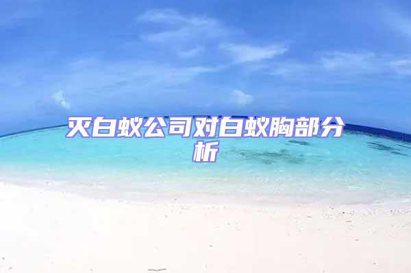 滅白蟻公司對白蟻胸部分析