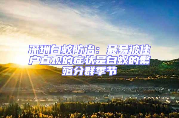 深圳白蟻防治：最易被住戶直觀的癥狀是白蟻的繁殖分群季節(jié)