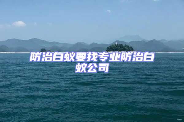 防治白蟻要找專業(yè)防治白蟻公司