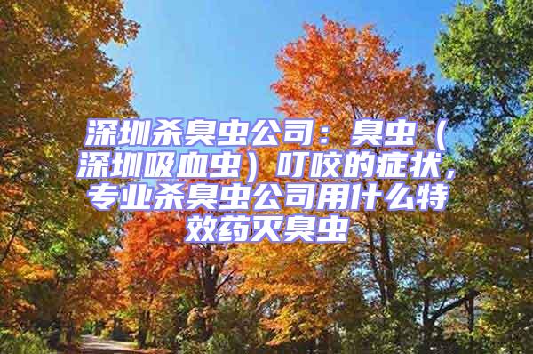 深圳殺臭蟲公司：臭蟲（深圳吸血蟲）叮咬的癥狀，專業殺臭蟲公司用什么特效藥滅臭蟲