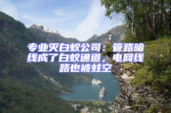 專業(yè)滅白蟻公司：管路暗線成了白蟻通道，電網(wǎng)線路也被蛀空