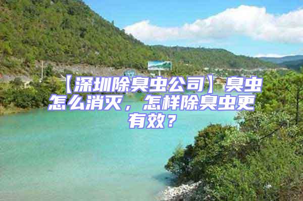 【深圳除臭蟲公司】臭蟲怎么消滅，怎樣除臭蟲更有效？