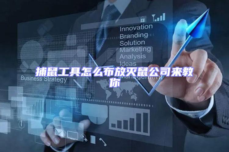 捕鼠工具怎么布放滅鼠公司來教你