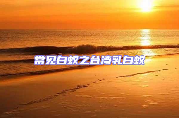 常見白蟻之臺灣乳白蟻