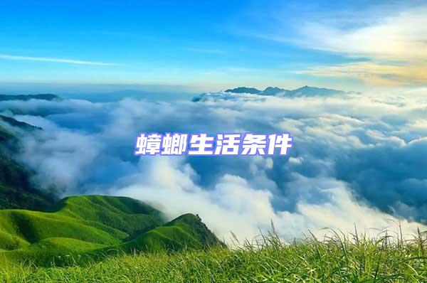 蟑螂生活條件