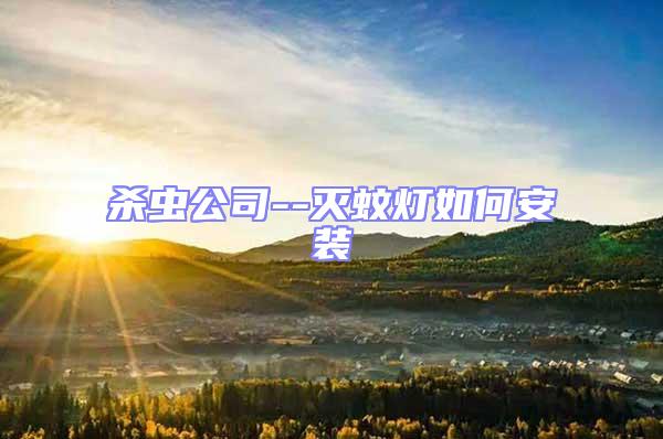 殺蟲公司--滅蚊燈如何安裝