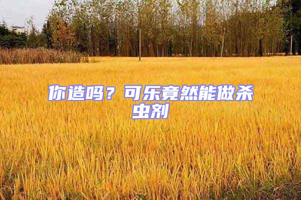 你造嗎？可樂竟然能做殺蟲劑
