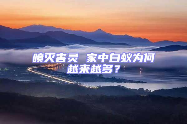 噴滅害靈 家中白蟻為何越來越多？
