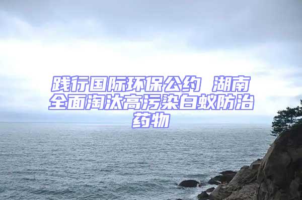 踐行國(guó)際環(huán)保公約 湖南全面淘汰高污染白蟻防治藥物