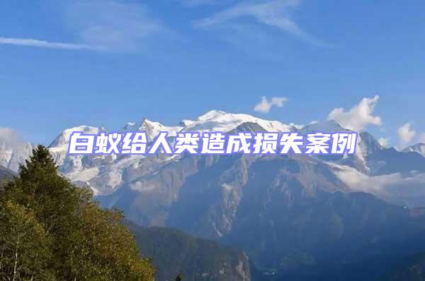 白蟻給人類造成損失案例
