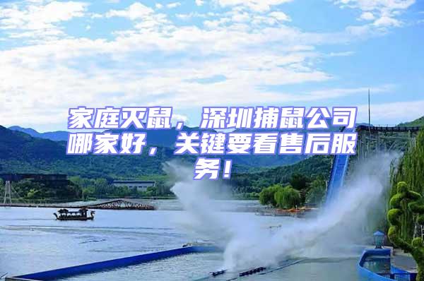 家庭滅鼠，深圳捕鼠公司哪家好，關鍵要看售后服務！