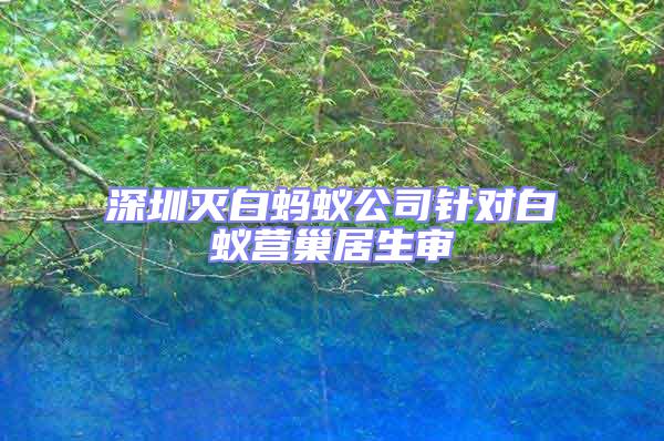 深圳滅白螞蟻公司針對白蟻營巢居生審