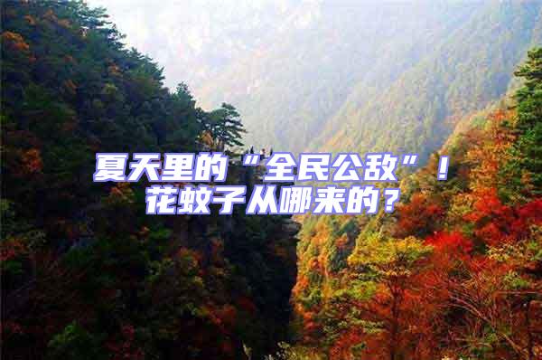 夏天里的“全民公敵”！花蚊子從哪來的？