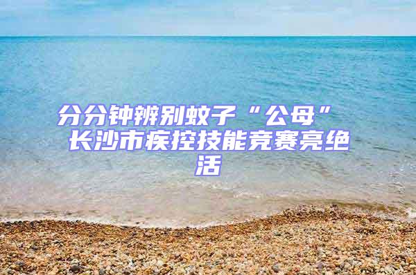 分分鐘辨別蚊子“公母” 長沙市疾控技能競賽亮絕活