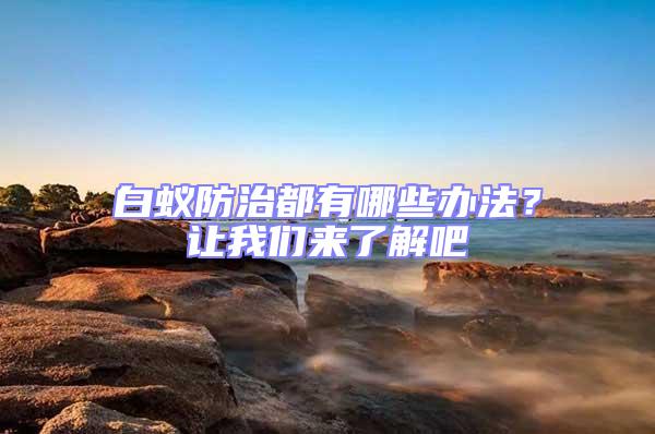 白蟻防治都有哪些辦法？讓我們來了解吧