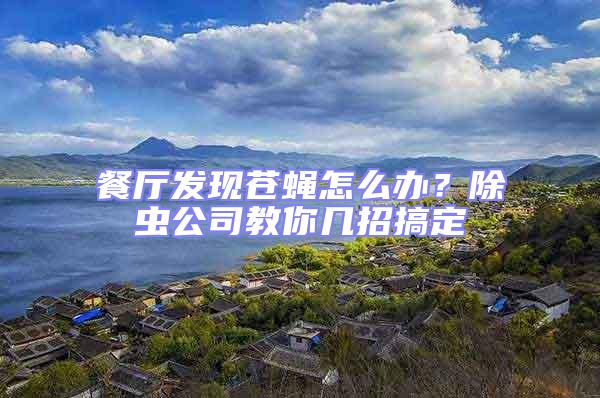 餐廳發(fā)現(xiàn)蒼蠅怎么辦？除蟲(chóng)公司教你幾招搞定