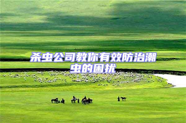 殺蟲公司教你有效防治潮蟲的困擾