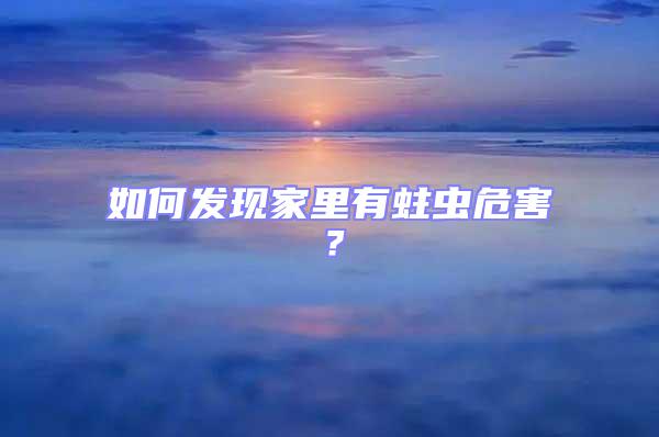如何發現家里有蛀蟲危害？