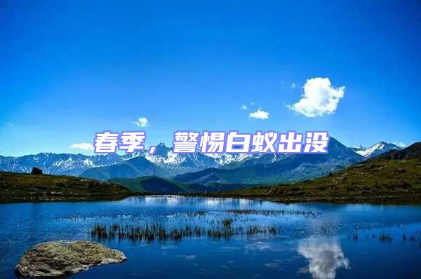 春季，警惕白蟻出沒