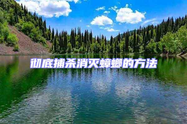 徹底捕殺消滅蟑螂的方法
