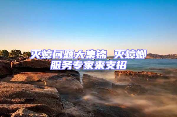 滅蟑問題大集錦 滅蟑螂服務專家來支招