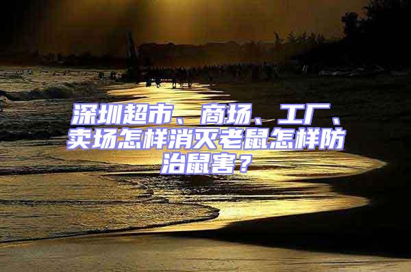 深圳超市、商場、工廠、賣場怎樣消滅老鼠怎樣防治鼠害？