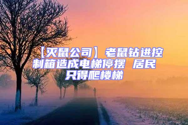 【滅鼠公司】老鼠鉆進控制箱造成電梯停擺 居民只得爬樓梯