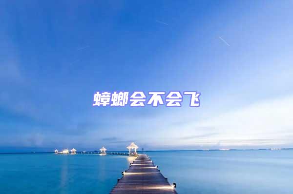 蟑螂會不會飛